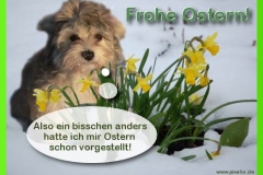 ostern15