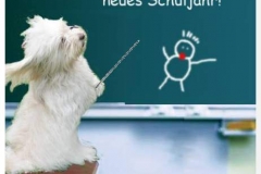 schuljahresbeginn