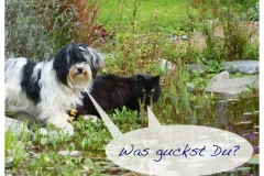 was_guckst_du