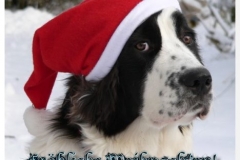 weihnachten1