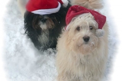 weihnachten2