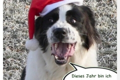 weihnachten7