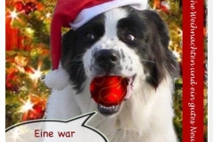 weihnachten8