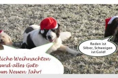 weihnachten9