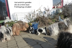 HPUWurfH18_047