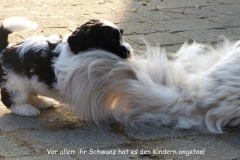 HPUWurfH18_111