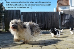 HPUWurfH18_117